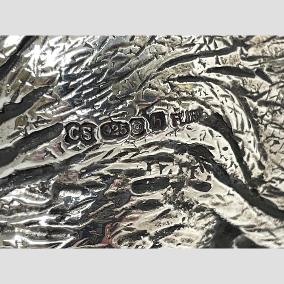 Close up photo of the full hallmark on the elephants rump. Nice detail of the elephant skin wrinkles also on display here.