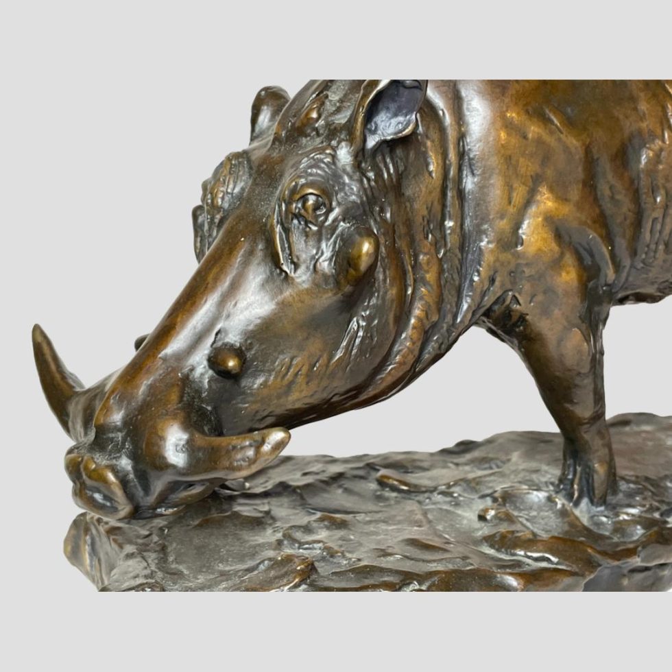 Close up of the bronze wild boars head area