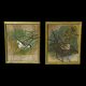Main photo of the 2 Victorian tobacco leaf oils displayed side by side against a black background. The finch is to the left looking downward whilst one the right the thrush is perched in its nest. Beautifully painted art works.
