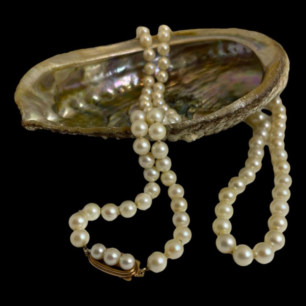 Main photo of long cultured pearl necklace displayed draped over an abalone shell. The 14 karat gold clasp area is in the centre foreground and it has 3 cultured pearls to the top with the central one looking slightly larger than the other 2. The pearls on the necklace are all uniform in size and of a creamy colour with a slight yellow tinge. Nice long necklace perfect for evening or roaring 20s dressing up dates.