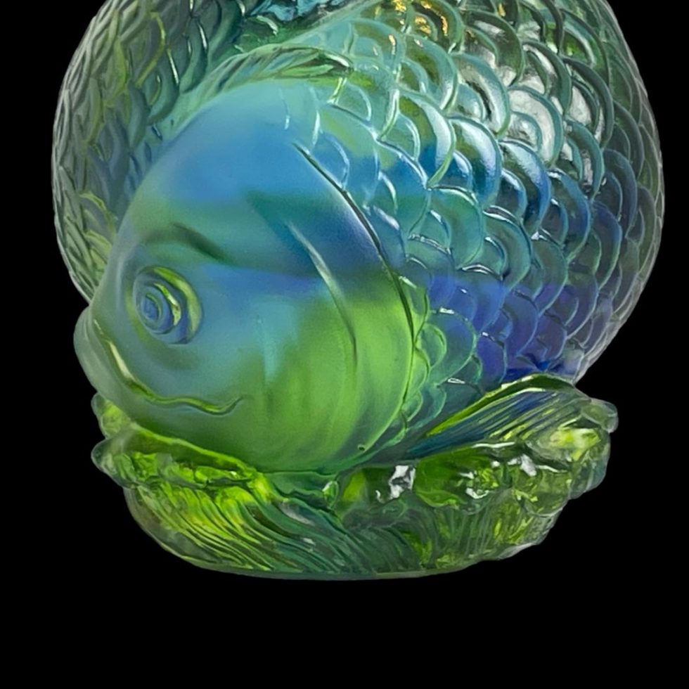 A close up photo of one of the fish heads seen from the side. The mixing of the blue within the green creates an underwater theme